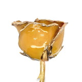 Lacquered Rose in Precious Metal