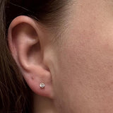 0.25cttw Lab Diamond Stud Earrings